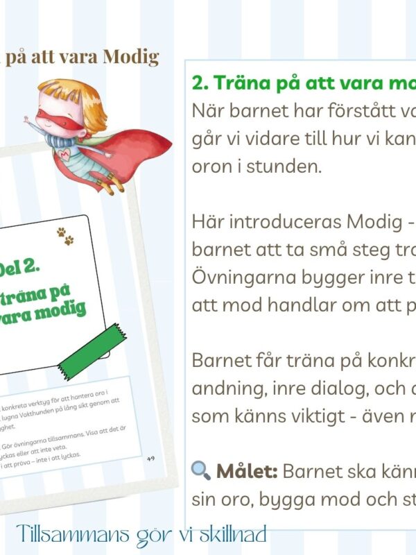 kapitel 2 modigs bok om oro